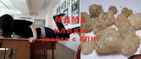 сатива Бородино