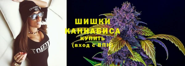 сатива Бородино
