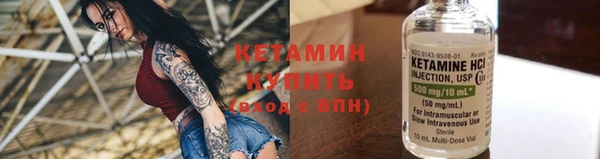 сатива Бородино