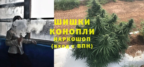 сатива Бородино
