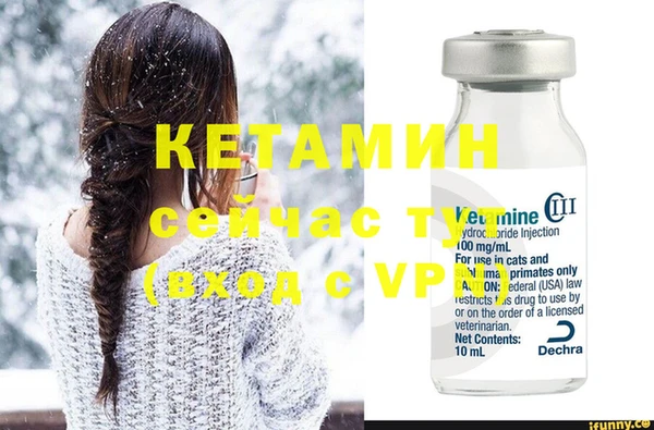 сатива Бородино