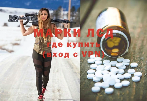 сатива Бородино