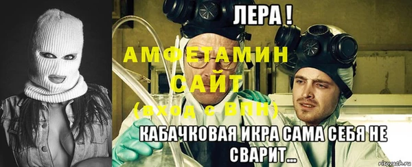 сатива Бородино