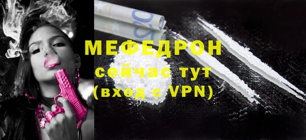 сатива Бородино