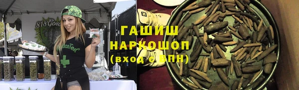 сатива Бородино