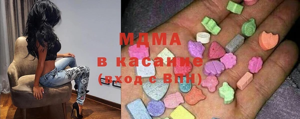 сатива Бородино