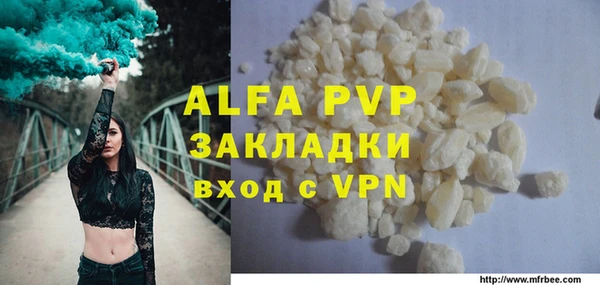 сатива Бородино