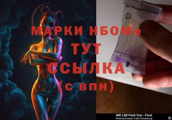 сатива Бородино